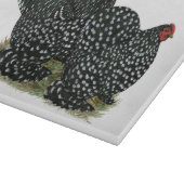 Cochin Mottled kippen Snijplank (Hoek)