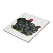 Cochin Mottled kippen Tegeltje (Zijkant)