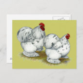 Cochin: Splash Bantams Briefkaart (Voorkant / Achterkant)