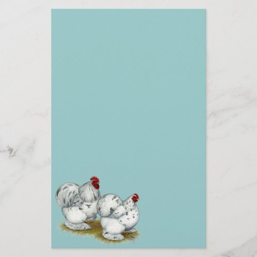 Cochin: Splash Bantams Briefpapier (Voorkant)