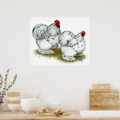 Cochin: Splash Bantams Poster (Keuken)