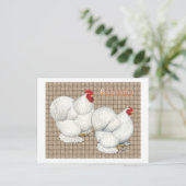 Cochin:  White Bantams Briefkaart (Staand voorkant)
