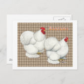 Cochin:  White Bantams Briefkaart (Voorkant / Achterkant)