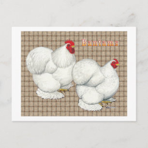 Cochin:  White Bantams Briefkaart