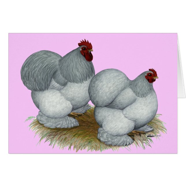 Cochin: Zelfblauw (Voorkant Horizontaal)