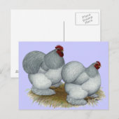 Cochin: Zelfblauw Briefkaart (Voorkant / Achterkant)