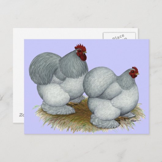 Cochin:  Zelfblauw Briefkaart (Voorkant / Achterkant)