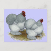 Cochin:  Zelfblauw Briefkaart (Voorkant)