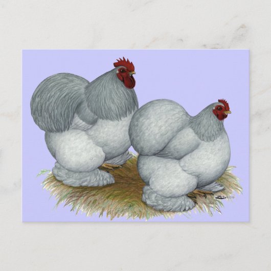 Cochin: Zelfblauw Briefkaart (Voorkant)