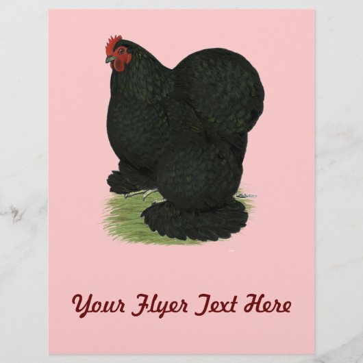 Cochin: Zwarte Hen Flyer (Voorkant)