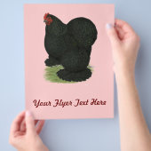 Cochin: Zwarte Hen Flyer (Hand)