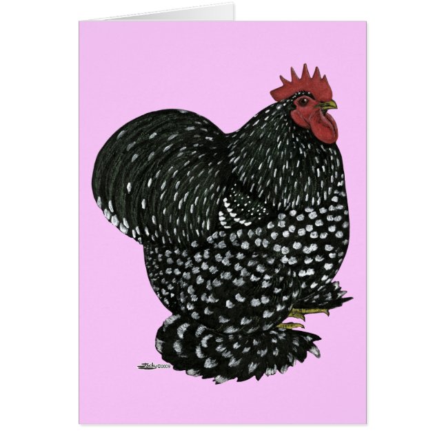 Cochin: Zwarte Mottle (Voorkant)