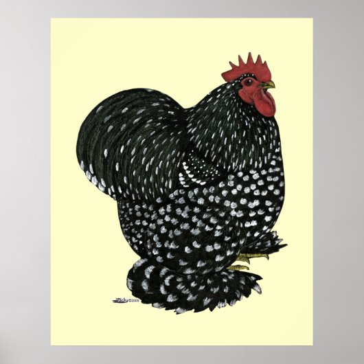 Cochin: Zwarte Mottle Poster (Voorkant)