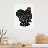 Cochin: Zwarte Mottle Poster (Keuken)