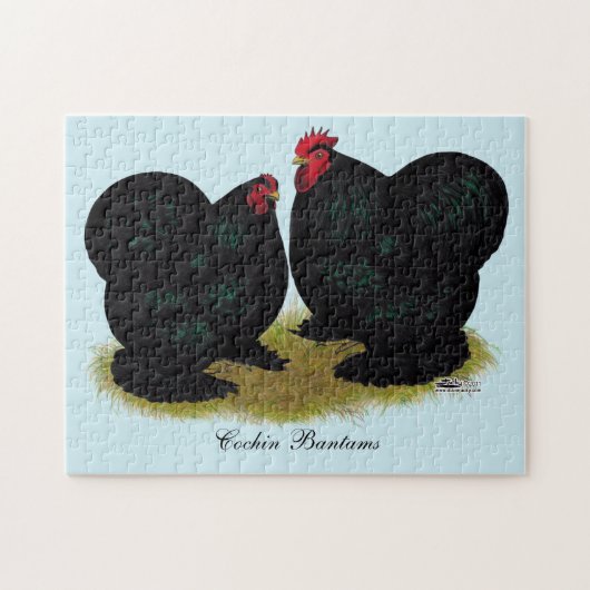 Cochins Black Bantam Paar Legpuzzel (Horizontaal)