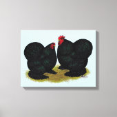 Cochins Black Bantam Pair Canvas Afdruk (Voorkant)