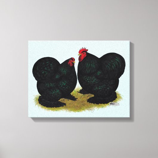 Cochins Black Bantam Pair Canvas Afdruk (Voorkant)
