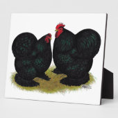 Cochins Black Bantam Pair Fotoplaat (Zijkant)