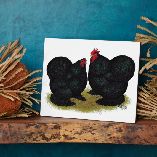 Cochins Black Bantam Pair Fotoplaat (Zijkant)