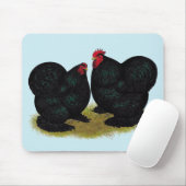Cochins Black Bantam Pair Muismat (Met muis)