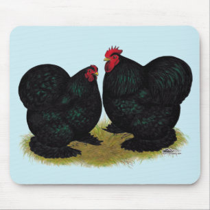 Cochins Black Bantam Pair Muismat