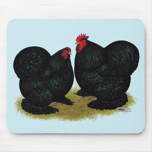 Cochins Black Bantam Pair Muismat (Voorkant)