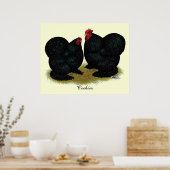 Cochins Black Bantam Pair Poster (Keuken)
