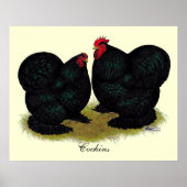 Cochins Black Bantam Pair Poster (Voorkant)
