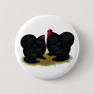 Cochins Black Bantam Pair Ronde Button 5,7 Cm