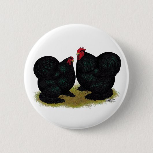 Cochins Black Bantam Pair Ronde Button 5,7 Cm (Voorkant)