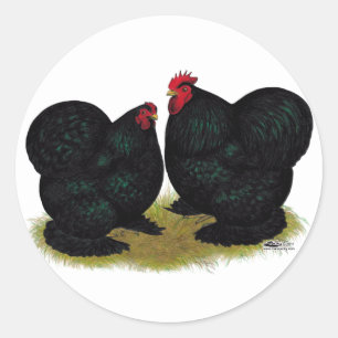 Cochins Black Bantam Pair Ronde Sticker