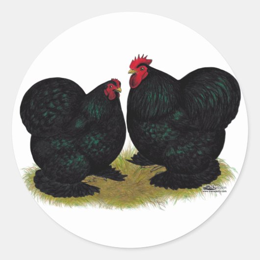 Cochins Black Bantam Pair Ronde Sticker (Voorkant)