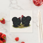 Cochins Black Bantam Pair Servetten (Insitu)