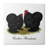 Cochins Black Bantam Pair Tegeltje (Voorkant)
