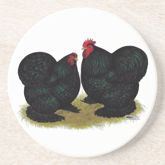 Cochins Black Bantam Pair Zandsteen Onderzetter (Voorkant)