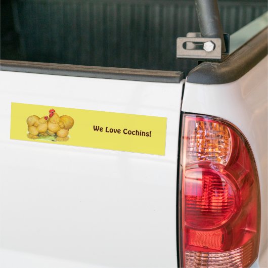 Cochins Buff Pair Bumpersticker (Op Truck)