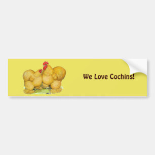 Cochins Buff Pair Bumpersticker