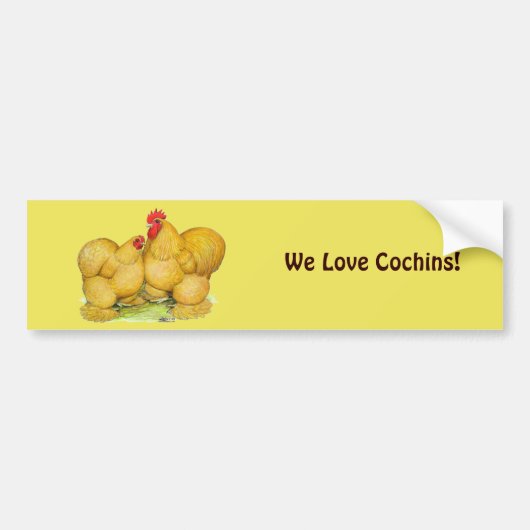 Cochins Buff Pair Bumpersticker (Voorkant)