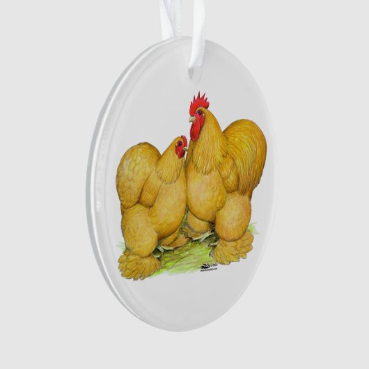 Cochins Buff Pair Ornament (voorkant)