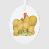 Cochins Buff Pair Ornament (voorkant)