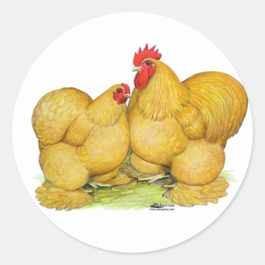 Cochins Buff Pair Ronde Sticker (Voorkant)