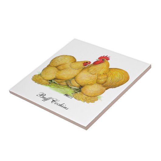 Cochins Buff Pair Tegeltje (Zijkant)