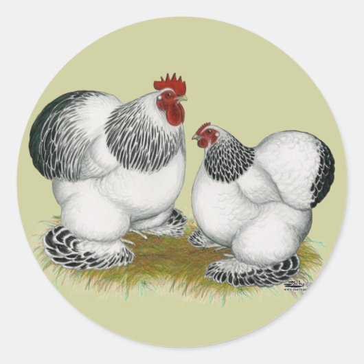 Cochins: Columbiaanse balken Ronde Sticker (Voorkant)