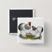 Cochins:  Columbiaanse bantams Vierkante Button 5,1 Cm (Voorkant /achterkant)
