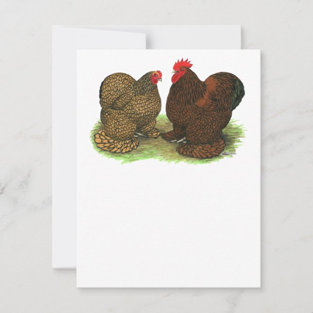 Cochins: Golden-laced (Voorkant)