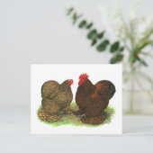 Cochins: Golden-laced Briefkaart (Staand voorkant)