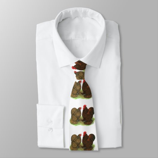 Cochins: Golden-laced Stropdas (Gebonden)