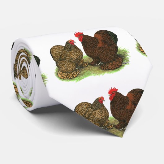 Cochins: Golden-laced Stropdas (Opgerold)