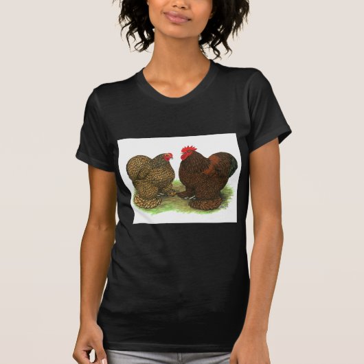 Cochins: Golden-laced T-shirt (Voorkant)