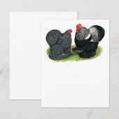 Cochins: zilverbesmeurd (Voorkant / Achterkant)